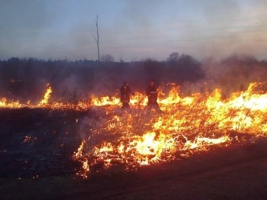 Начинается пожароопасный период: будьте осторожны