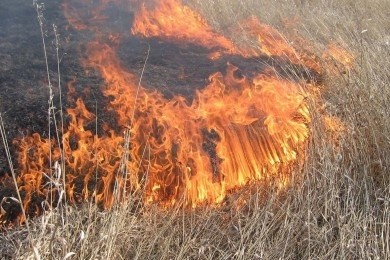 Будьте осторожны! Пожароопасный период начался