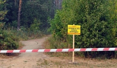 В Бобруйском районе введен запрет на посещение лесов