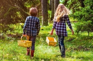Что следует знать, собираясь в лес