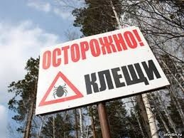 Осторожно:  сезон клещей начался!