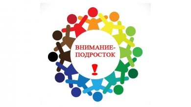 Причины и профилактика правонарушений совершаемых в подростковом возрасте