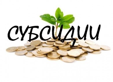 Субсидии для организации предпринимательской деятельности, деятельности по оказанию услуг в сфере агроэкотуризма, ремесленной деятельности