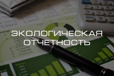 О представлении государственной статистической отчетности (Минприроды)