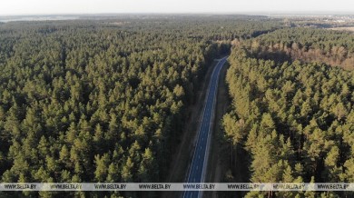 ГАИ напоминает об опасности выхода на дорогу диких животных