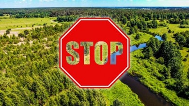 Интерактивная карта запретов и ограничений на посещение лесов в районах Республики Беларусь