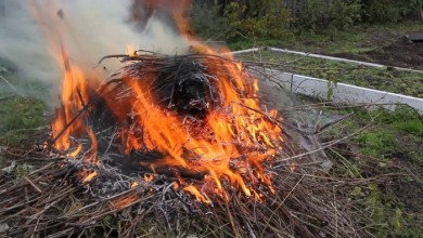 ДАЧНАЯ БЕЗОПАСНОСТЬ