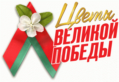 Бобруйск встречает «Диалог поколений»