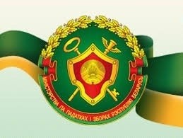 Внесены изменения в осуществлении налоговыми органами административных процедур