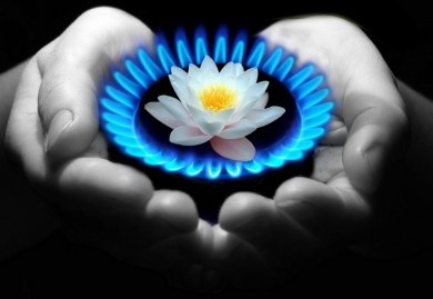 Безопасный котел и газовое оборудование