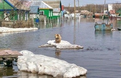 К сведению жителей, проживающих в зонах возможного подтопления