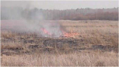 Мифы о палах сухой растительности
