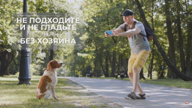 «Энциклопедия безопасности»: что делать, если нападает собака.