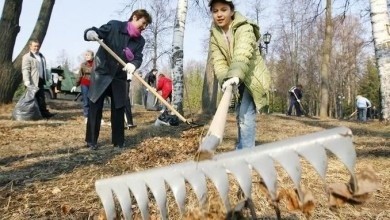 Республиканский субботник в Беларуси пройдет 22 апреля