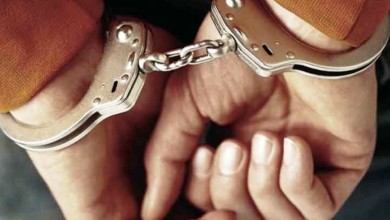 СКМ «Розыск» прошел в Бобруйске
