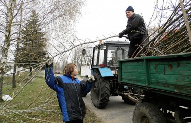 В городе пройдет месячник по санитарной очистке и уборке территорий районов