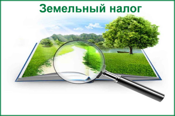 Порядок заполнения уведомлений о земельных участках