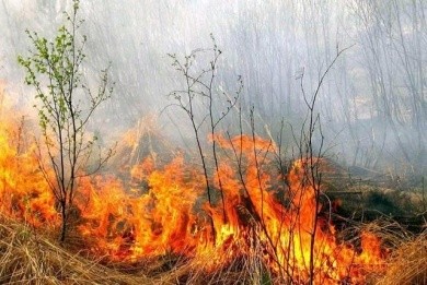 Акция «За безопасность вместе»
