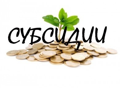 Безвозмездная финансовая поддержка для организации собственного дела