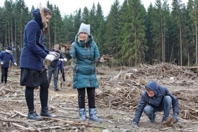 Для радости будущих поколений. На Бобруйщине прошла «Неделя леса»