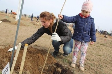 25 апреля в Бобруйске пройдет республиканский субботник