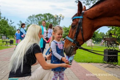 Районный праздник «Конный фест» состоится 29 августа в д. Сычково