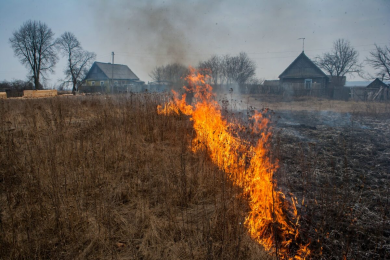 В области фиксируют первые палы травы. К чему призывают спасатели?