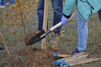 Сделаем любимый город краше вместе! В Бобруйске стартует месячник по уборке, благоустройству и озеленению городских территорий