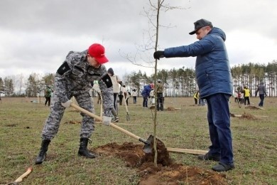 В Бобруйске проходит городской субботник