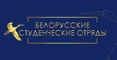 Студенческий отряд УО «БГТУ» «БГЛК» трудится в Любоничском лесничестве Бобруйского лесхоза