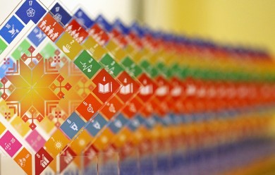Конкурс лучших практик по реализации Стратегии устойчивого развития Могилевской области на период до 2035 года проводится в регионе