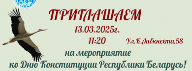 Мероприятие ко дню конституции Республики Беларусь