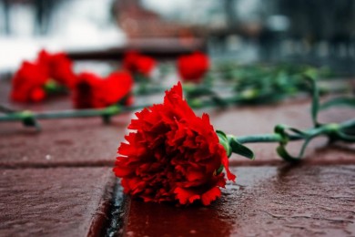 Предприятия и учреждения Бобруйска присоединились к Всебелорусской минуте молчания