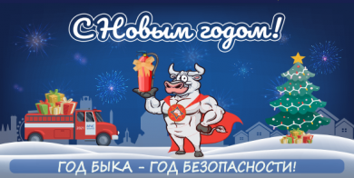 МЧС поздравляет с наступающими праздниками!