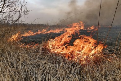 Сезон палов сухой растительности.