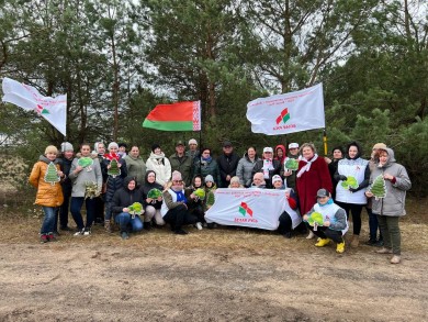 Белая Русь высадила березовую рощу в рамках республиканского субботника