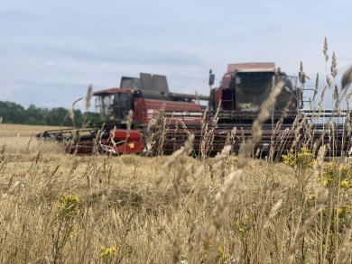 Уборочная в безопасности. Бобруйск