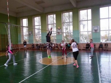Первенство  по волейболу