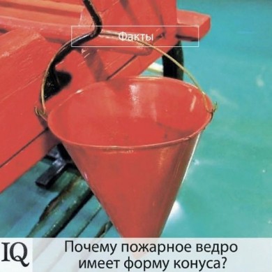 Знали ли вы?