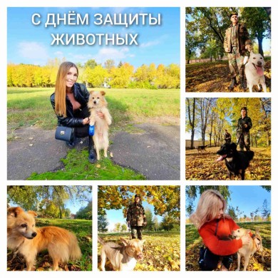 В ГУО "Средняя школа №27 г. Бобруйска" прошла профилактическая акция "Дети против жестокого обращения с животными".