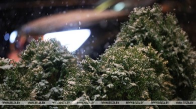 Более 1 тыс. нарушений ПДД выявлено за выходные в Могилевской области