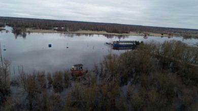 Когда вода у порога. Уровень воды в Березине уже превысил опасную отметку