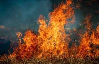 С начала года в Могилевской области произошло 86 пожаров сухой растительности