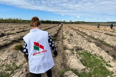Бобруйская организация РОО "Белая Русь" приняла активное участие в "Неделе леса" и республиканском субботнике