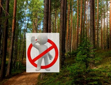 Берегите природу от пожара. Советы МЧС