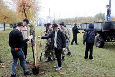 Хотим видеть Бобруйск ярким и зеленым