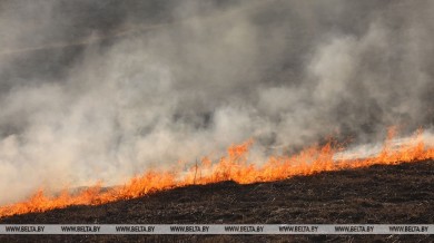 Начались палы травы. За прошедшие сутки спасатели ликвидировали 17 возгораний