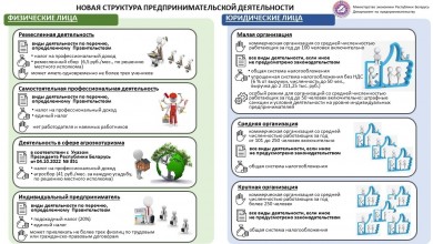 О реформе предпринимательской деятельности – наглядно