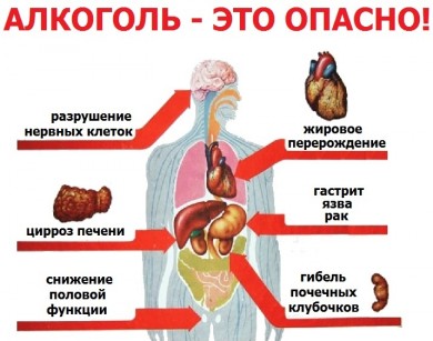 30 доказанных фактов о вреде употребления алкоголя