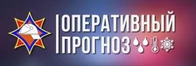 Обломало немало веток. Спасатели выезжали в непогоду на помощь